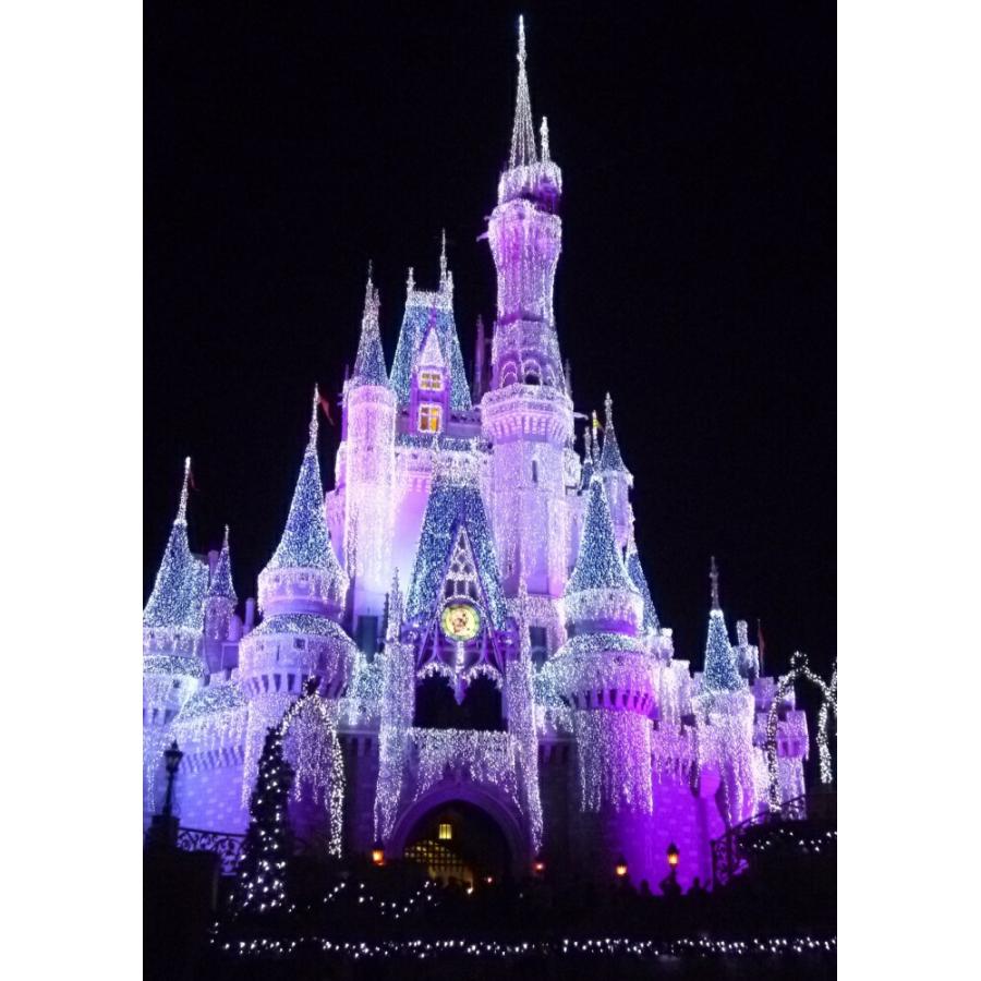 絵画風 壁紙ポスター ディズニーワールド 夜景 マジックキングダム キャラクロ Dnw 007a1 A1版 585mm 0mm Dnw 007a1 レアルインターショップ 通販 Yahoo ショッピング