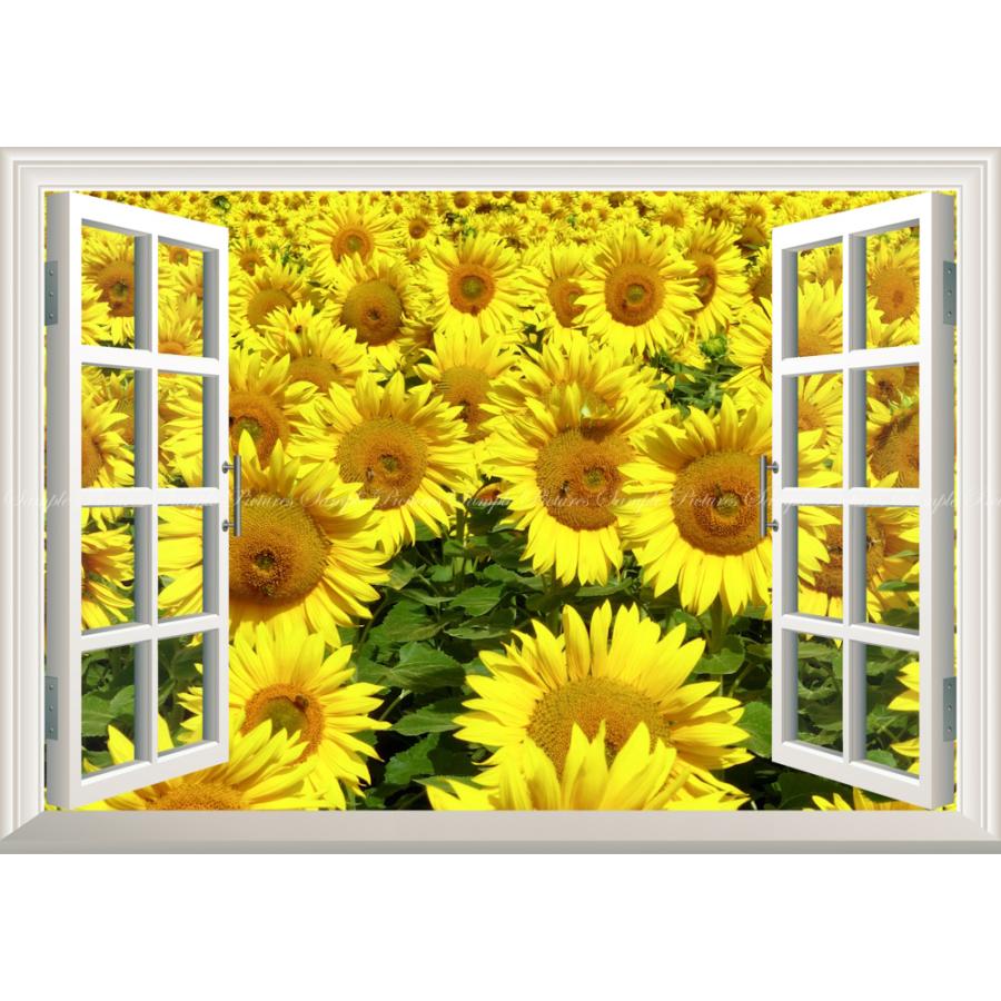 絵画風 壁紙ポスター ひまわり畑 向日葵 ヒマワリ 太陽の花 サンフラワー 花 窓仕様 Fhmw 009ma1 A1版 0mm 585mm 日本製 Fhmw 009ma1 レアルインターショップ 通販 Yahoo ショッピング