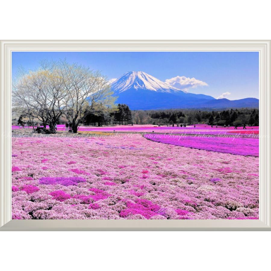 絵画風 壁紙ポスター (はがせるシール式) 富士芝桜 富士山 本栖湖 富士