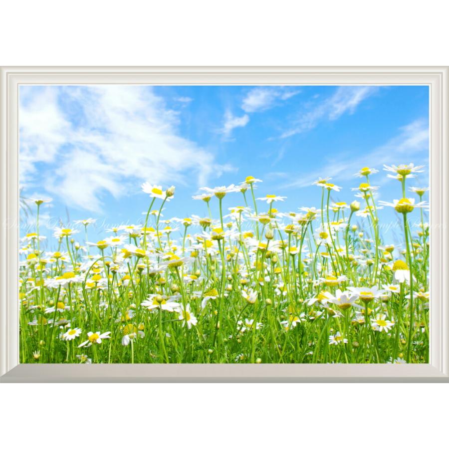 価格交渉して下さいませ( ≧∀≦)ノ#美濃蔵★１名限定販売★花畑 絵画★ 絵画風 壁紙ポスター (はがせるシール式) カモミールと青空 花畑