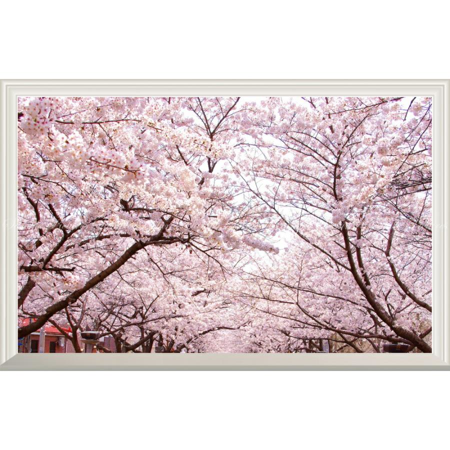 絵画風 壁紙ポスター 窓の景色 さくらの開花 春の景色 桜の木 サクラ 八重桜 ソメイヨシノ 扉なし窓仕様 Fskr 025nw1 ワイド版 901mm 585mm Fskr 025nw1 レアルインターショップ 通販 Yahoo ショッピング