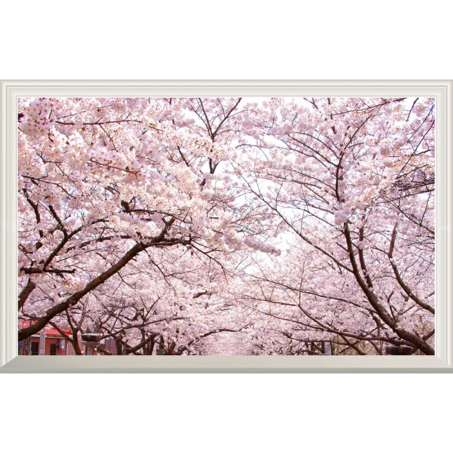 絵画風 壁紙ポスター 窓の景色 さくらの開花 春の景色 桜の木 サクラ 八重桜 ソメイヨシノ 扉なし窓仕様 Fskr 025nw2 ワイド版 603mm 391mm Fskr 025nw2 レアルインターショップ 通販 Yahoo ショッピング