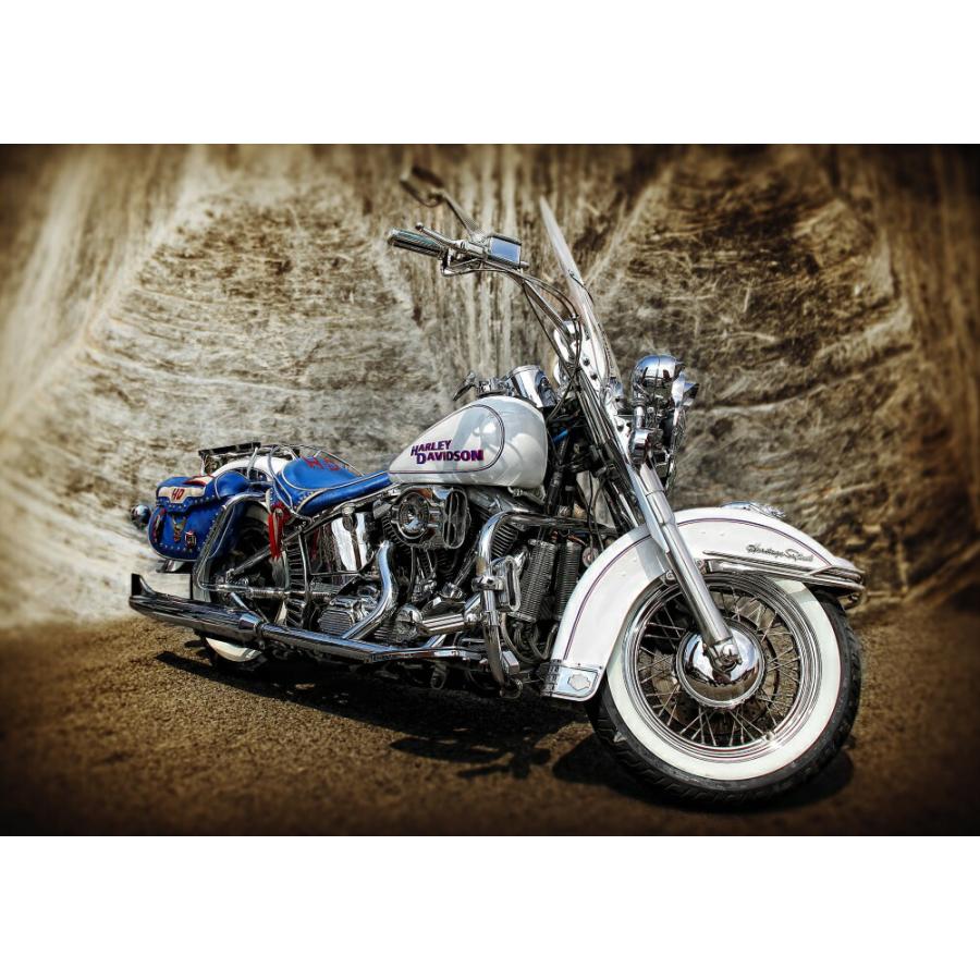 アートポスター カリダ・ロールズ エキシビジョンポスター b2c108cabf89057ab249a5b5dffec5