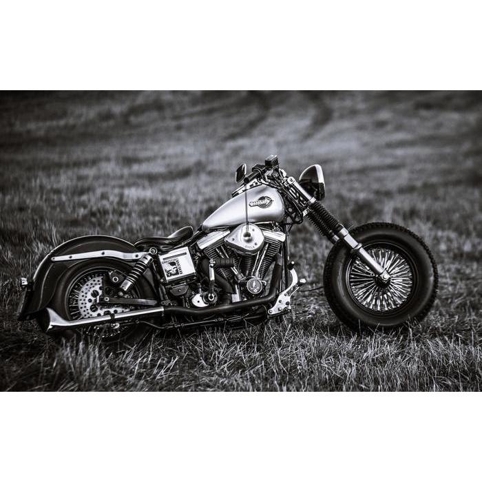 絵画風 壁紙ポスター (はがせるシール式) ハーレー ダビッドソン