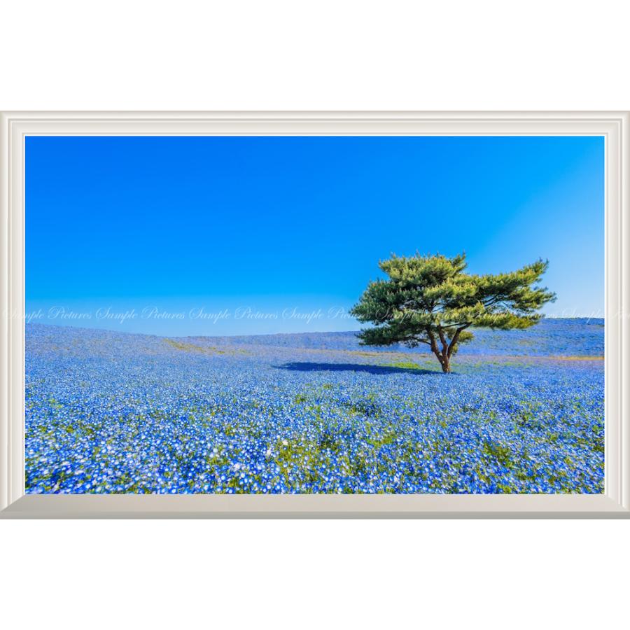 絵画風 壁紙ポスター -窓の景色- 国営ひたち海浜公園 春のみはらしの丘