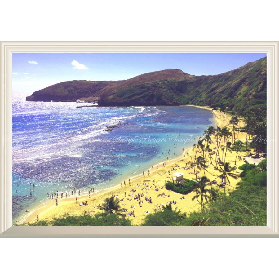 絵画風 壁紙ポスター 窓の景色 ハワイ オアフ島 ハナウマ ベイ ビーチ リゾート 海 扉