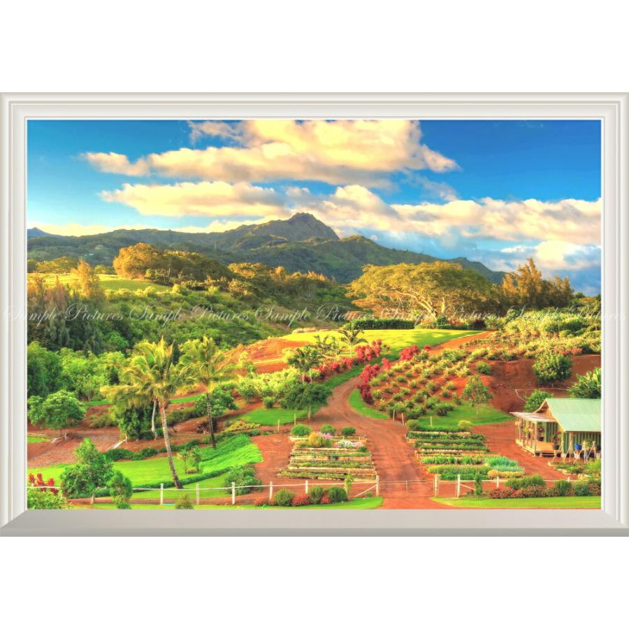 安心の定価販売 絵画風 壁紙ポスター 窓の景色 ハワイ カウアイ島の秋 緑と紅葉 カラフル 山 扉なし窓仕様 キャラクロ Hwi 032na2 版 594mm 4mm Dzieciwojny Pl