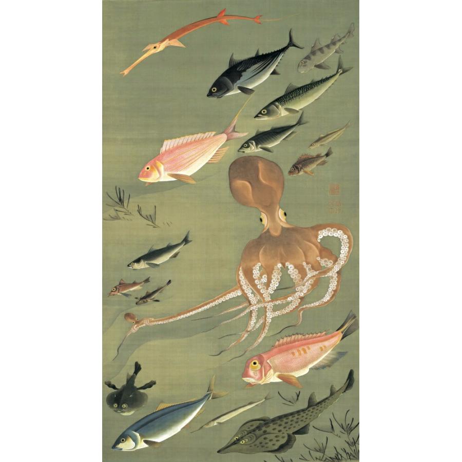 絵画風 壁紙ポスター【フルサイズ版】 伊藤若冲 動植綵絵 群魚図 蛸 じゃくちゅう 生誕300年 キャラクロ K-ITJ-033S2(336mm×603mm)＜日本製＞ | 