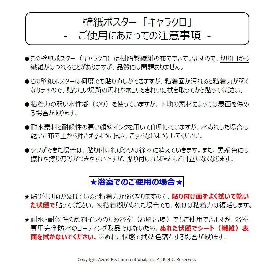 絵画風 壁紙ポスター【フルサイズ版】 アルフォンス・ミュシャ イヴァンチッツェの地方展 1912年 キャラクロ K-MCH-091S1(576mm×923mm)＜日本製＞｜real-inter｜09