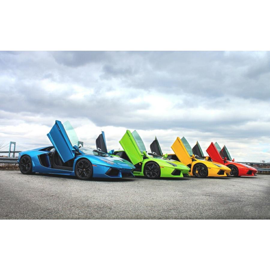 絵画風 壁紙ポスター ランボルギーニ アヴェンタドール 4台 赤 青 緑 黄 スーパーカー キャラクロ Lavd 014w2 ワイド版 603mm 376mm Lavd 014w2 レアルインターショップ 通販 Yahoo ショッピング