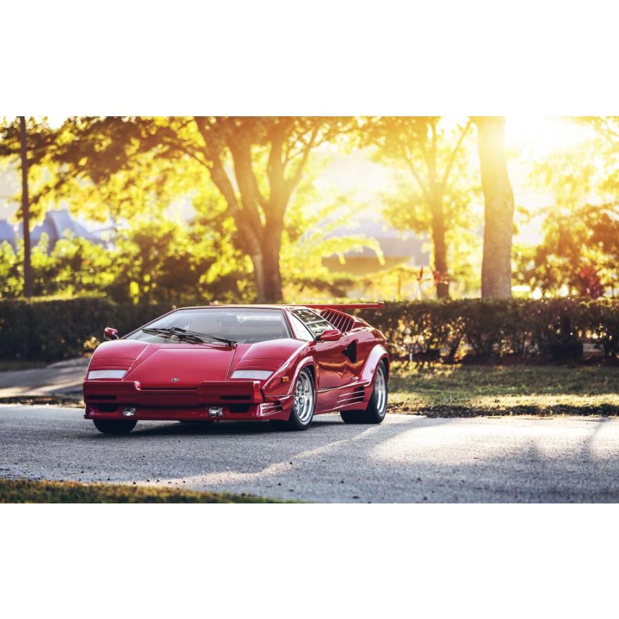 絵画風 壁紙ポスター (はがせるシール式) ランボルギーニ カウンタック 5000 QV 25th 1988年 キャラクロ LCNT-021W2(ワイド版 603mm×376mm)＜日本製＞ | 