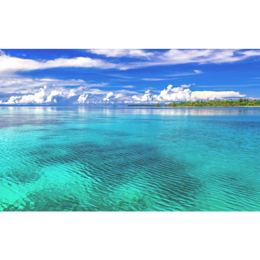 絵画風 壁紙ポスター 珊瑚礁の内海 ターコイズブルーの世界 ウィディ諸島 ハルマヘラ島 インドネシア 絶景スポット M Ridn 002w2 ワイド版 603mm 376mm M Ridn 002w2 レアルインターショップ 通販 Yahoo ショッピング