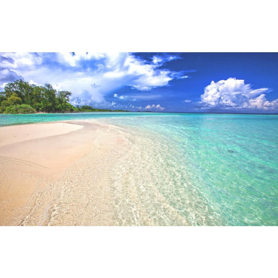 絵画風 壁紙ポスター はがせるシール式 エメラルドブルーのトロピカルビーチ インドネシア キャラクロ M Ridn 003w2 ワイド版 603mm 376mm 日本製 M Ridn 003w2 レアルインターショップ 通販 Yahoo ショッピング