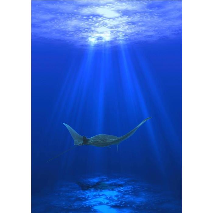 絵画風 壁紙ポスター マンタ オニイトマキエイ ダイビング 太陽光線 海 キャラクロ Mnta 001a2 版 4mm 594mm Mnta 001a2 レアルインターショップ 通販 Yahoo ショッピング