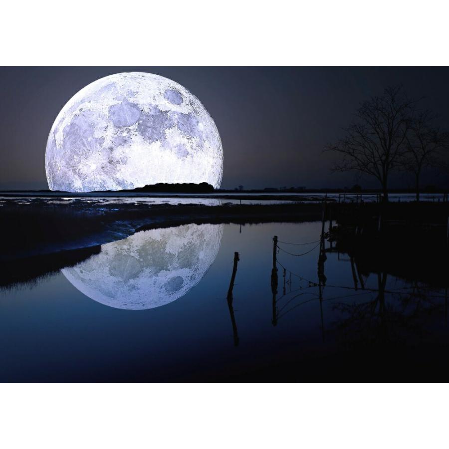 絵画風 壁紙ポスター (はがせるシール式) ビッグムーンと湖 湖面反射
