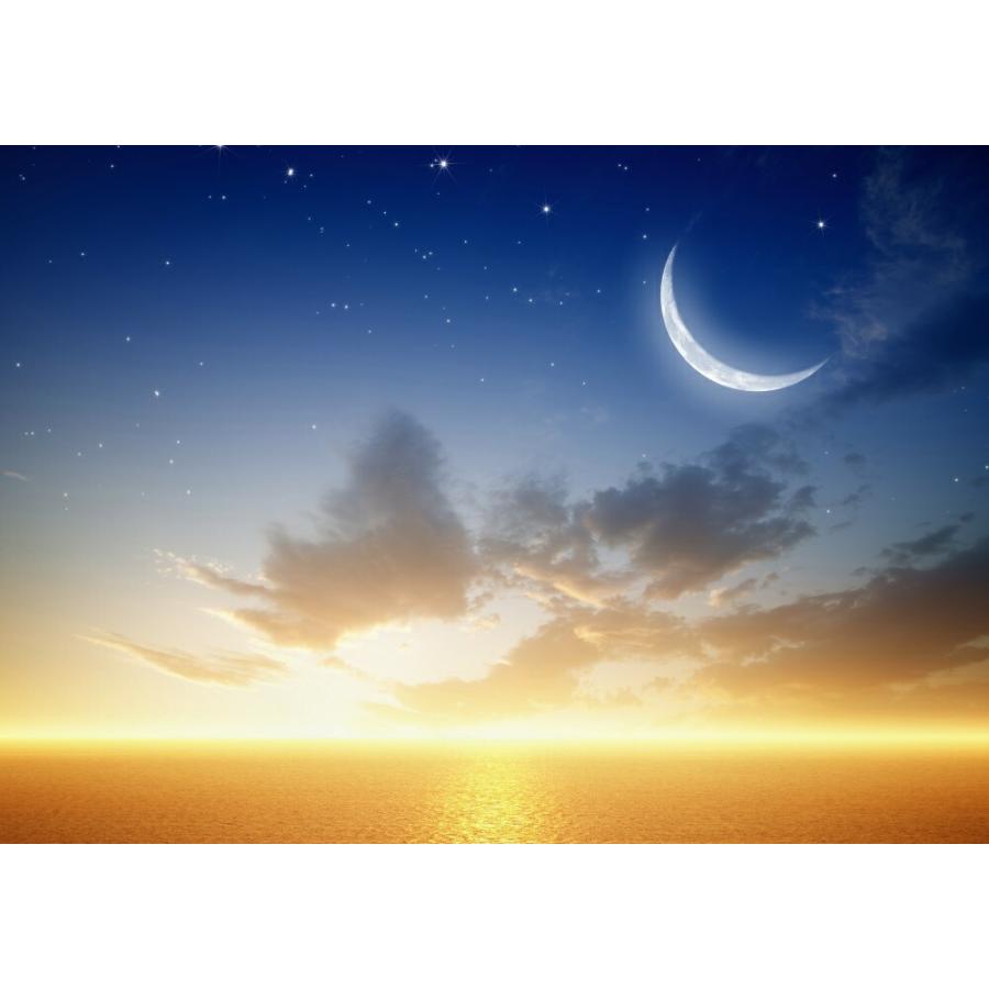 絵画風 壁紙ポスター 日没の地平線と三日月 サンセット 夕焼け 星空 海 癒し キャラクロ Mon 028a2 版 594mm 4mm Mon 028a2 レアルインターショップ 通販 Yahoo ショッピング