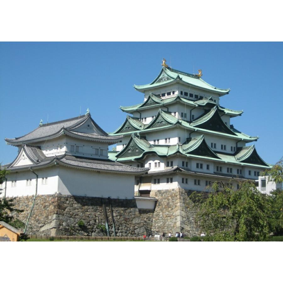 絵画風 壁紙ポスター 名古屋城 名城 金鯱城 金城 日本三名城 日本100名城 特別史跡 お城 キャラクロ Ngj 002a2 版 594mm 4mm Ngj 002a2 レアルインターショップ 通販 Yahoo ショッピング