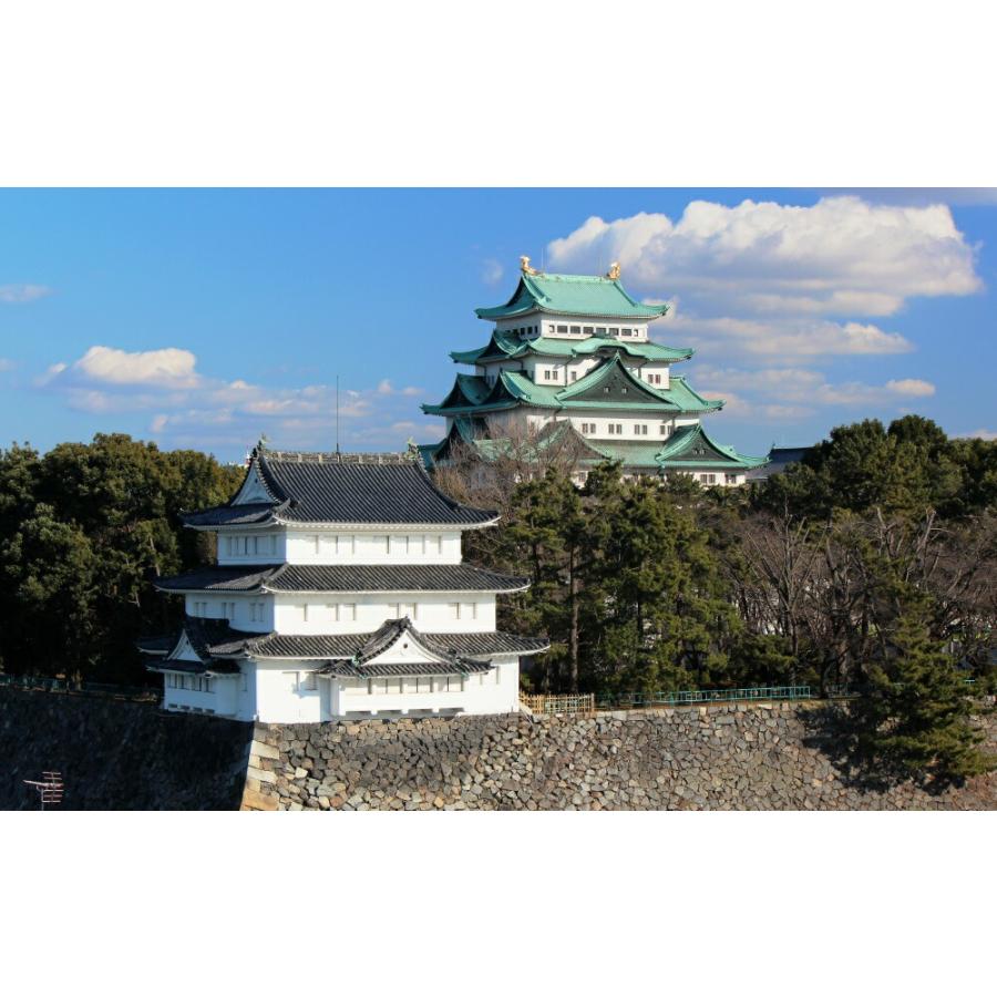 絵画風 壁紙ポスター 名古屋城 名城 金鯱城 金城 日本三名城 日本100名城 特別史跡 お城 キャラクロ Ngj 004w2 ワイド版 603mm 376mm Ngj 004w2 レアルインターショップ 通販 Yahoo ショッピング