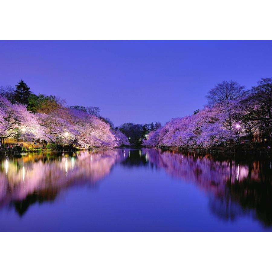 絵画風 壁紙ポスター さくら 夜桜 大阪 夜景 ライトアップ キャラクロ Osk 005a2 版 594mm 4mm Osk 005a2 レアルインターショップ 通販 Yahoo ショッピング