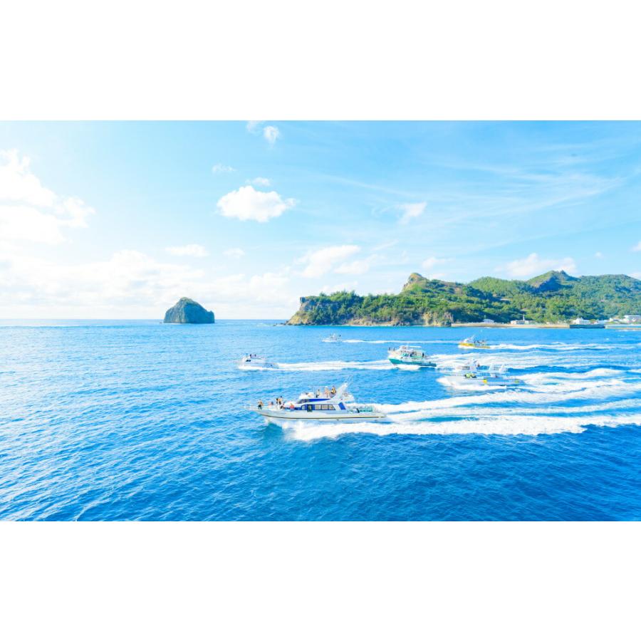 絵画風 壁紙ポスター はがせるシール式 小笠原諸島の伝統的な別れの光景 水中写真家 茂野優太 キャラクロ S Sea 002w2 ワイド版 603mm 376mm S Sea 002w2 レアルインターショップ 通販 Yahoo ショッピング