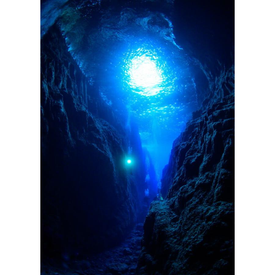 絵画風 壁紙ポスター はがせるシール式 小笠原諸島のワイルドな水中洞窟 水中写真家 茂野優太 キャラクロ S Uww 022a2 版 4mm 594mm S Uww 022a2 レアルインターショップ 通販 Yahoo ショッピング