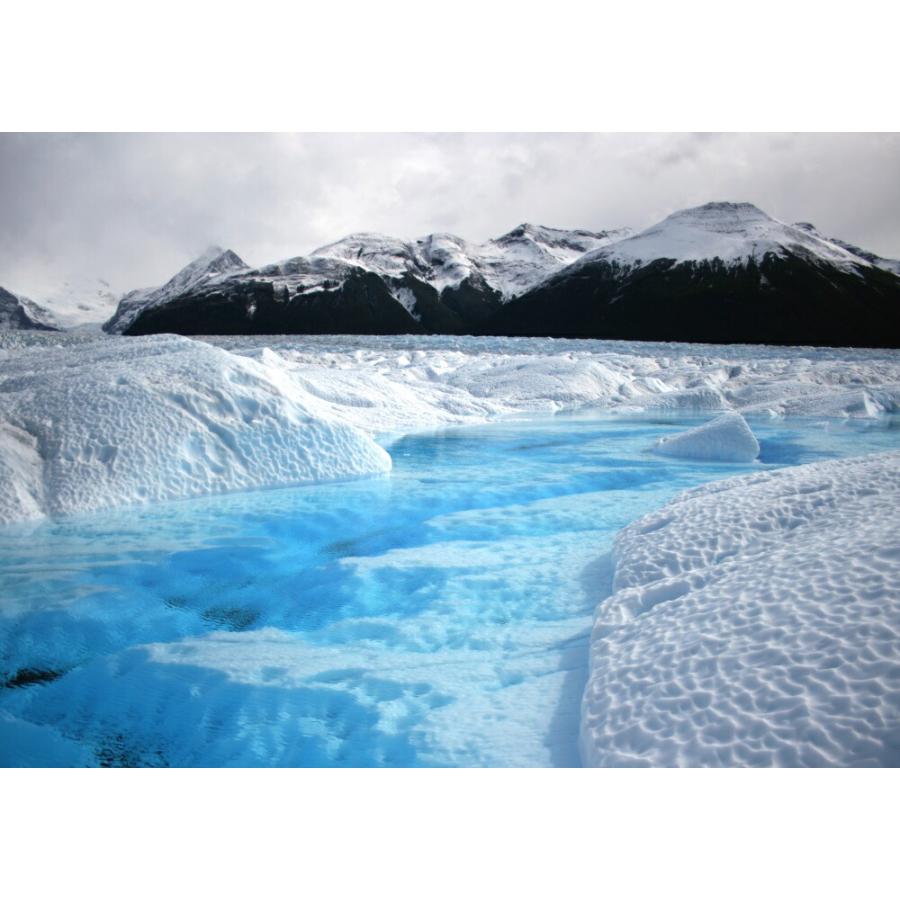 パタゴニア パタゴニア レフュジオ・デイパック 26L 新品レフジオパック