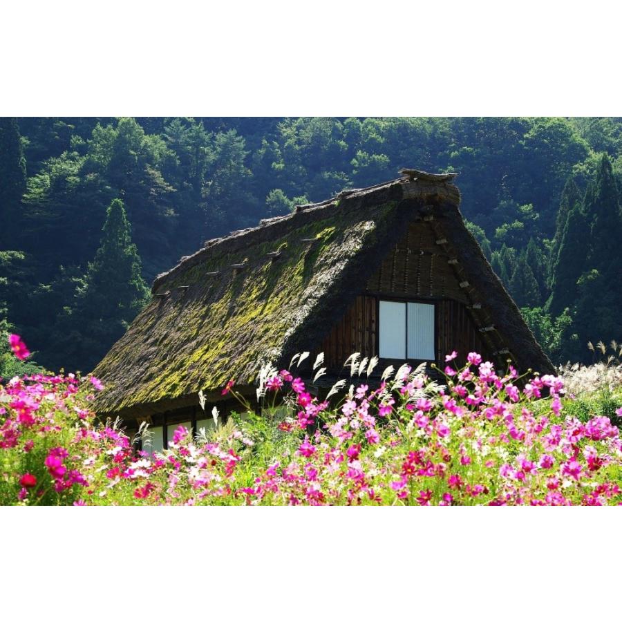 絵画風 壁紙ポスター 春の白川郷 合掌造りの家 扇町村 岐阜 世界遺産 キャラクロ Skg 003w2 ワイド版 603mm 376mm Skg 003w2 レアルインターショップ 通販 Yahoo ショッピング