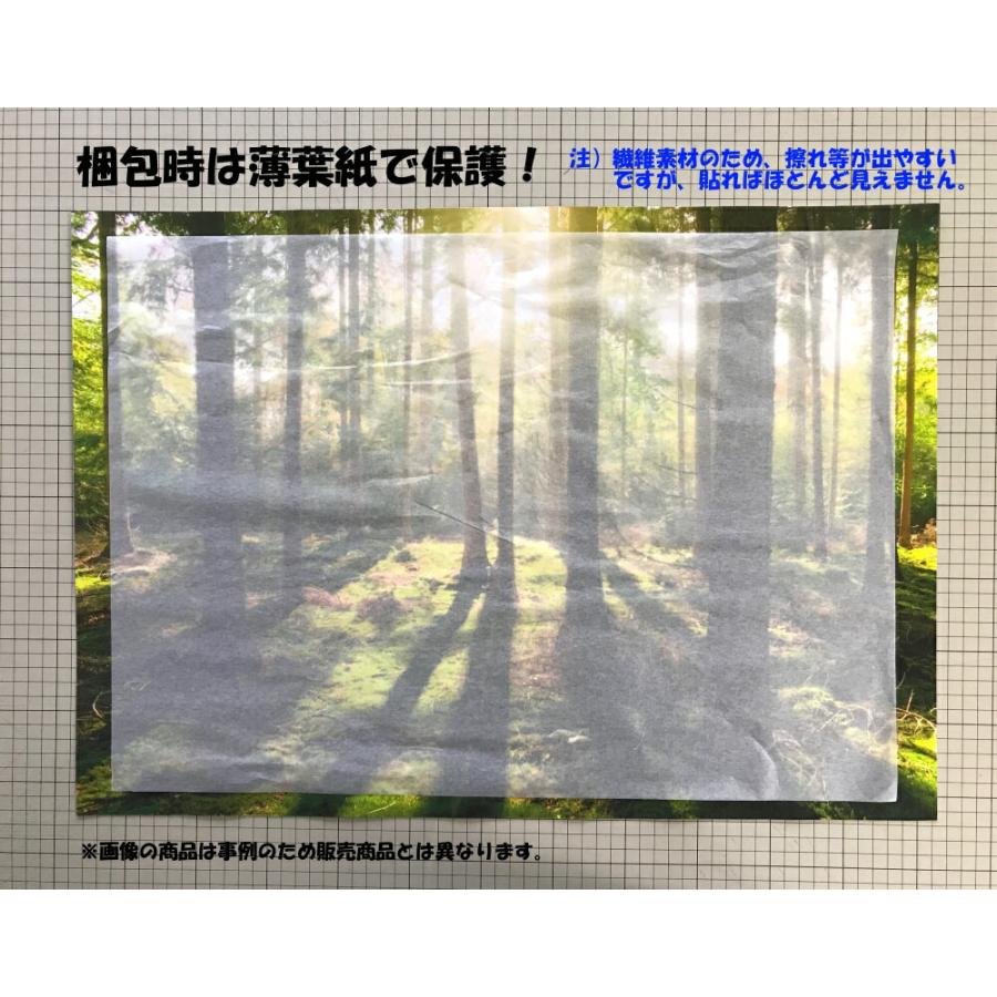 絵画風 壁紙ポスター (はがせるシール式) 森林 森林浴 日光浴 陽射し 太陽 眩しい 緑の森の木々 癒し キャラクロ SNR-030A1(A1版 830mm×585mm)＜日本製＞｜real-inter｜08