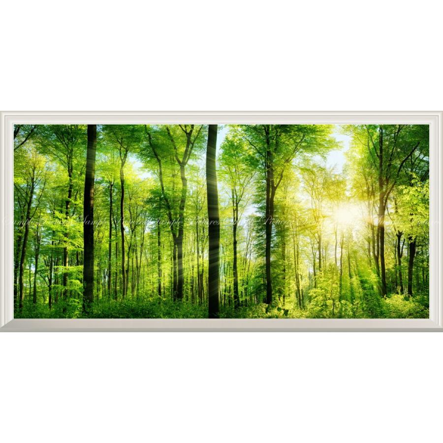 絵画風 壁紙ポスター  -窓の景色- 森林 森林浴 日光浴 陽射し 太陽 眩しい 緑の森の木々 癒し パノラマ【扉なし窓仕様】 SNR-101NS1 （1152mm×576mm）