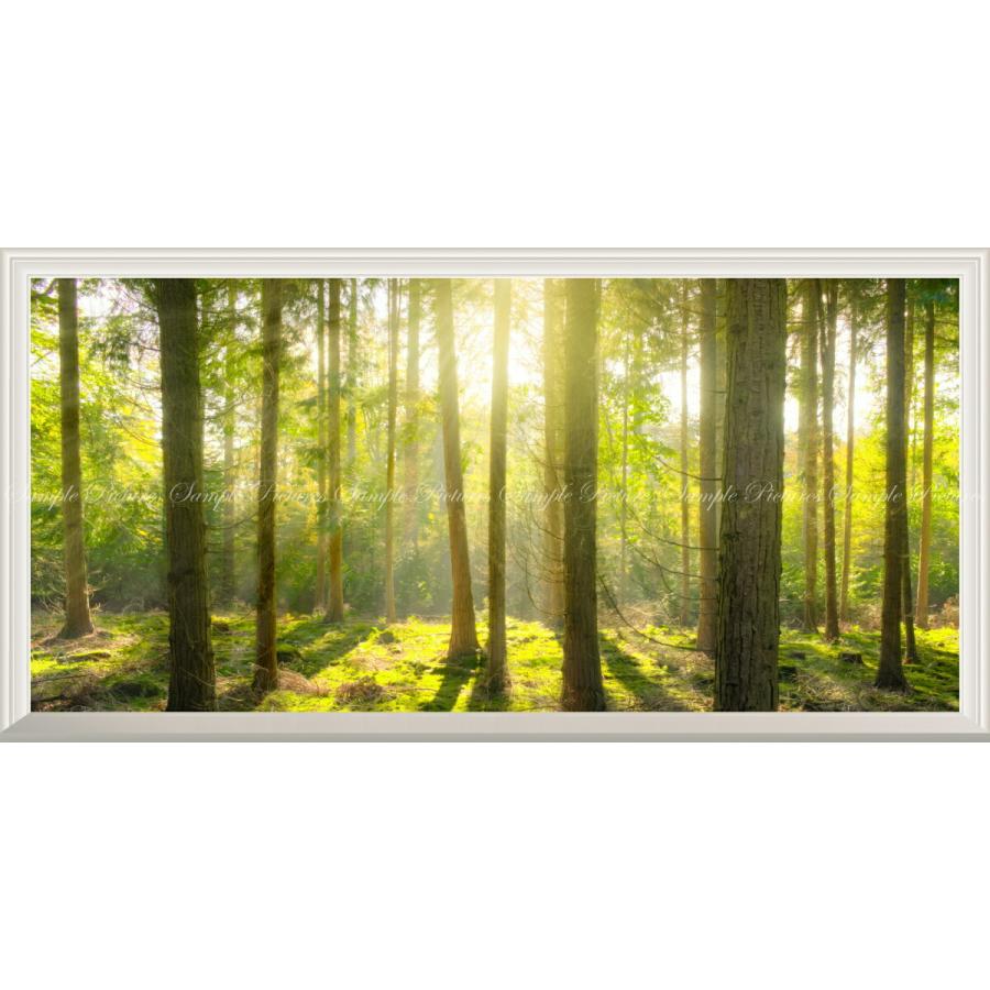 絵画風 壁紙ポスター 窓の景色 森林 森林浴 緑 木漏れ日 目の保養 気分転換 癒し パノラマ 扉なし窓仕様 キャラクロ Snr 113ns1 1152mm 576mm Snr 113ns1 レアルインターショップ 通販 Yahoo ショッピング