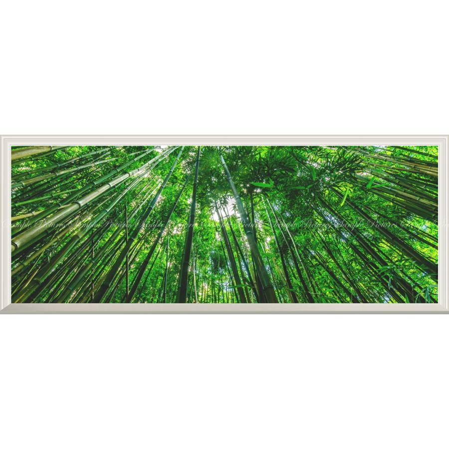 絵画風 壁紙ポスター 窓の景色 竹藪 森林浴 緑 目の保養 気分転換 癒し リラックス パノラマ 扉なし窓仕様 Snr 115np1 パノラマ版 1440mm 576mm Snr 115np1 レアルインターショップ 通販 Yahoo ショッピング