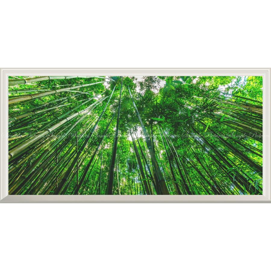 絵画風 壁紙ポスター 窓の景色 竹藪 森林浴 緑 目の保養 気分転換 癒し リラックス パノラマ 扉なし窓仕様 キャラクロ Snr 115ns1 1152mm 576mm Snr 115ns1 レアルインターショップ 通販 Yahoo ショッピング
