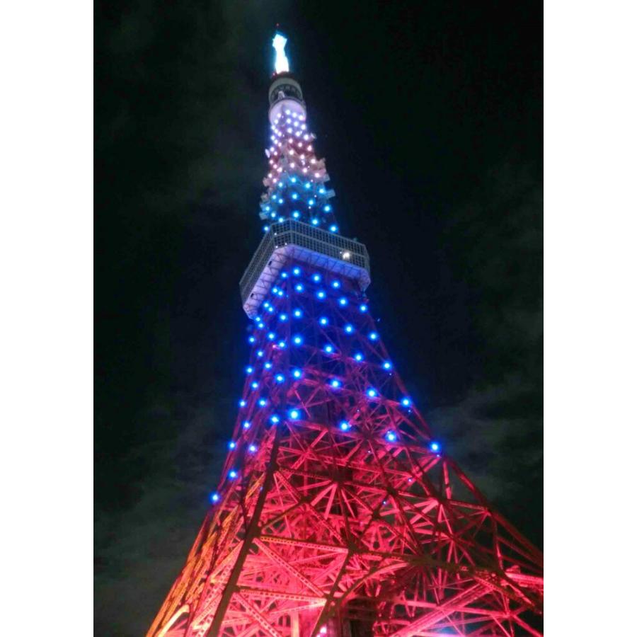 絵画風 壁紙ポスター 東京タワー ライトアップ 夜景 キャラクロ Tkt 016a2 版 4mm 594mm Tkt 016a2 レアルインターショップ 通販 Yahoo ショッピング