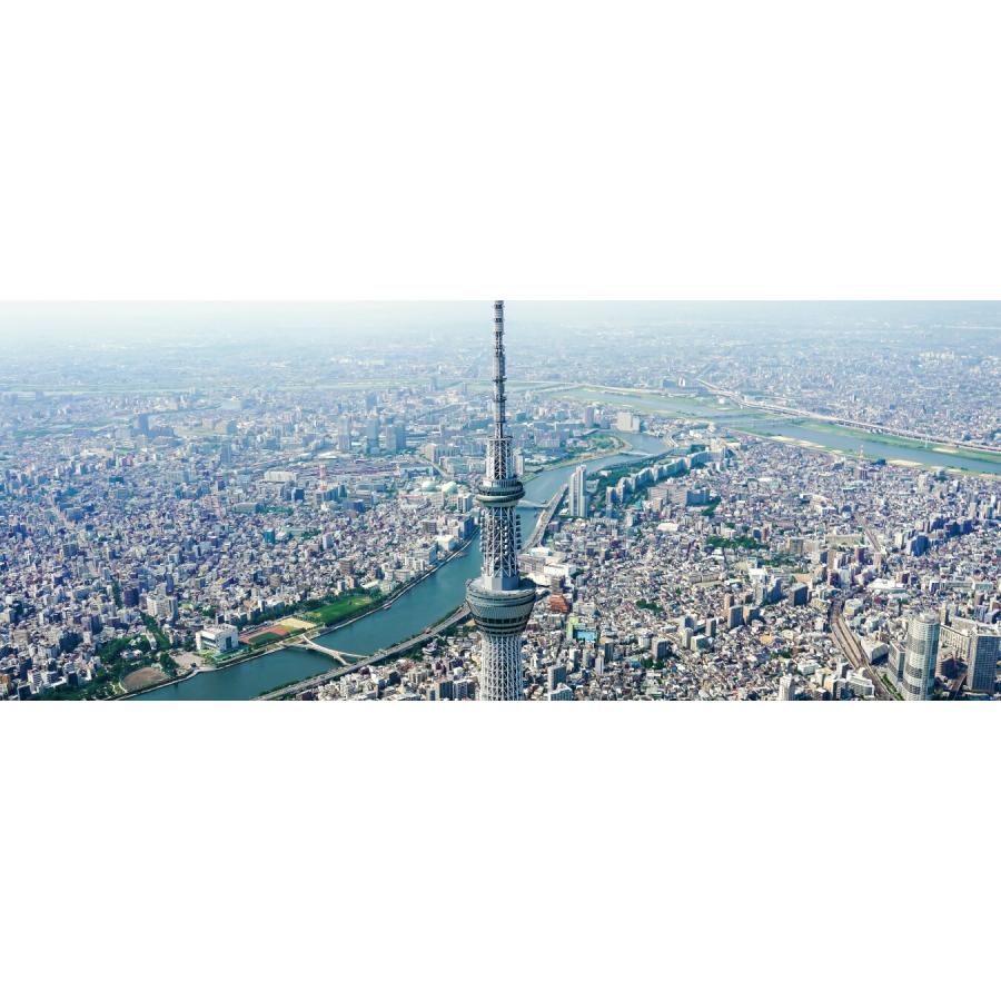 メーカー公式ショップ 東京スカイツリーと東京都市景観 壁紙ポスター 絵画風 隅田川と荒川 1440mm 576mm パノラマ版 Tst 016p1 キャラクロ パノラマ 天望回廊 ウォールステッカー Awacc Org