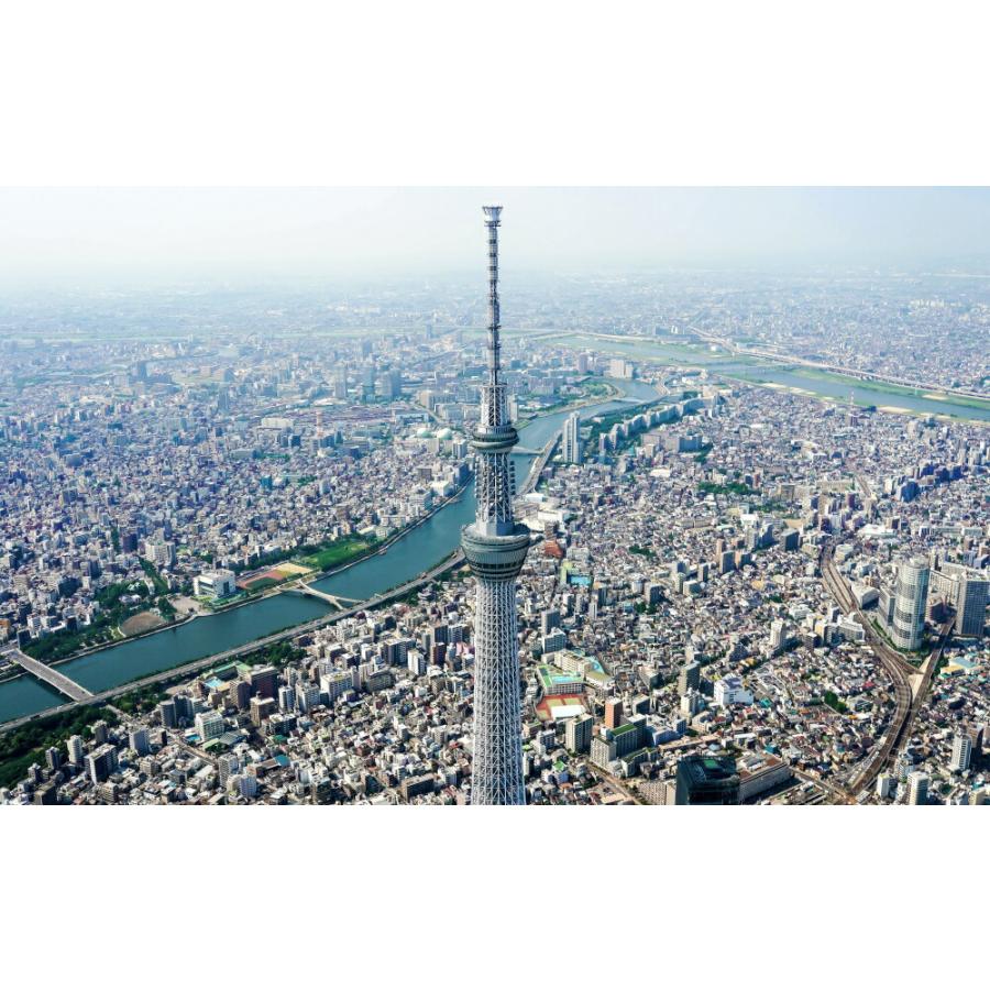 絵画風 壁紙ポスター 東京スカイツリーと東京都市景観 隅田川と荒川 天望回廊 キャラクロ Tst 016w2 ワイド版 603mm 376mm Tst 016w2 レアルインターショップ 通販 Yahoo ショッピング