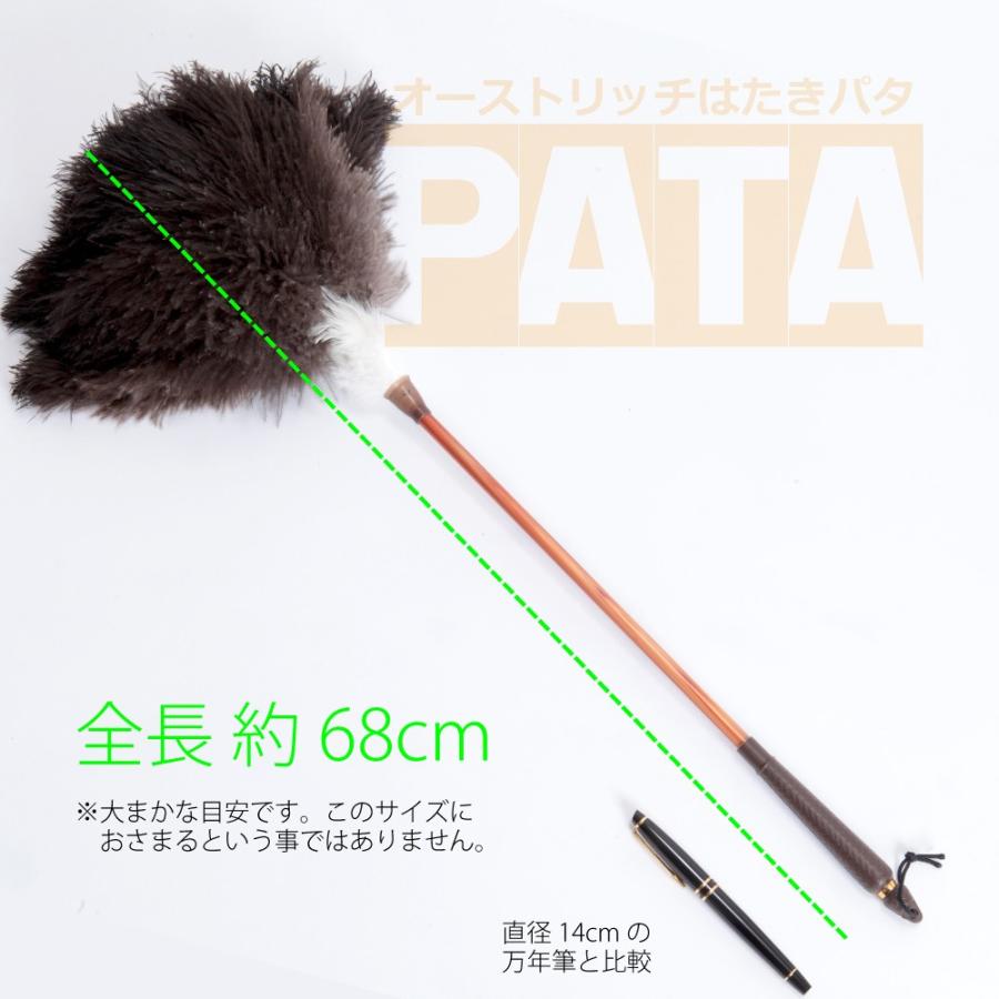 オーストリッチ はたき PATA +（パタ・プラス） // 高級 毛ばたき 掃除
