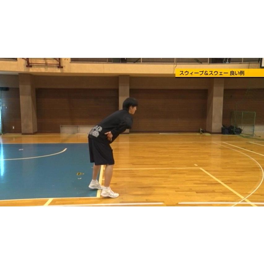 バスケットボール 教材 DVD ナチュラルパーフェクト