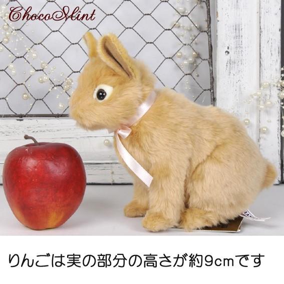 ネザーランドドワーフラビット うさぎリアルぬいぐるみ ハンサ製 Hansa C 664 ウェディングドールchocomint 通販 Yahoo ショッピング