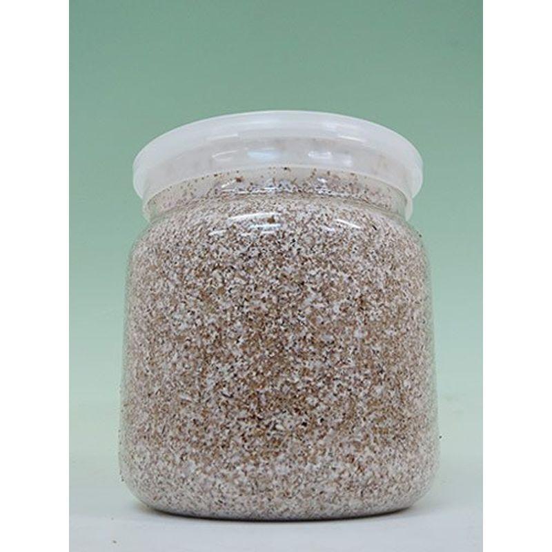 784円 限定特価 菌糸ビン Ep 1400 クワガタ幼虫用透明容器