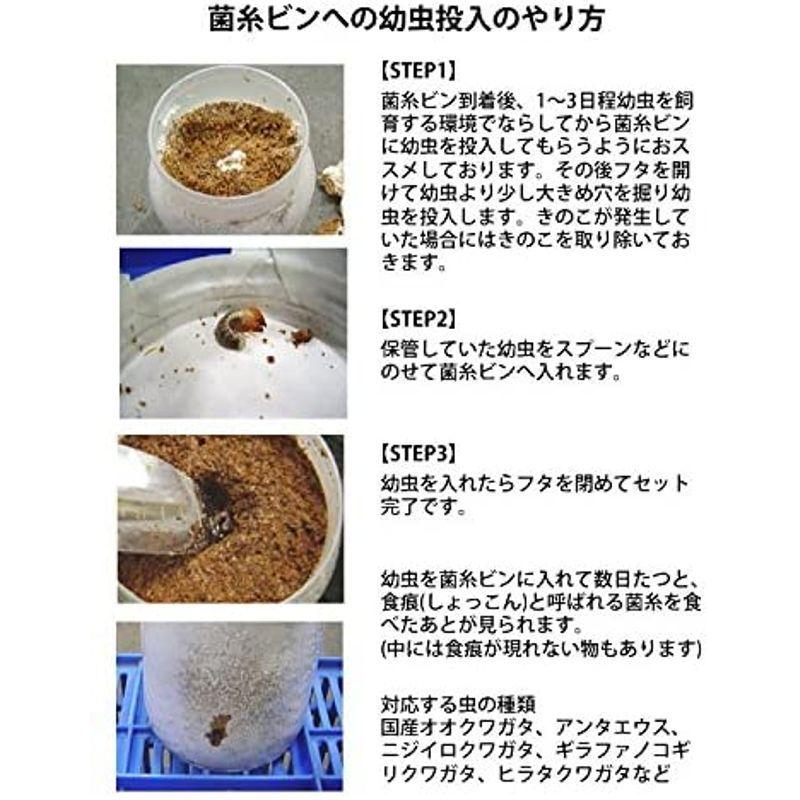 784円 限定特価 菌糸ビン Ep 1400 クワガタ幼虫用透明容器