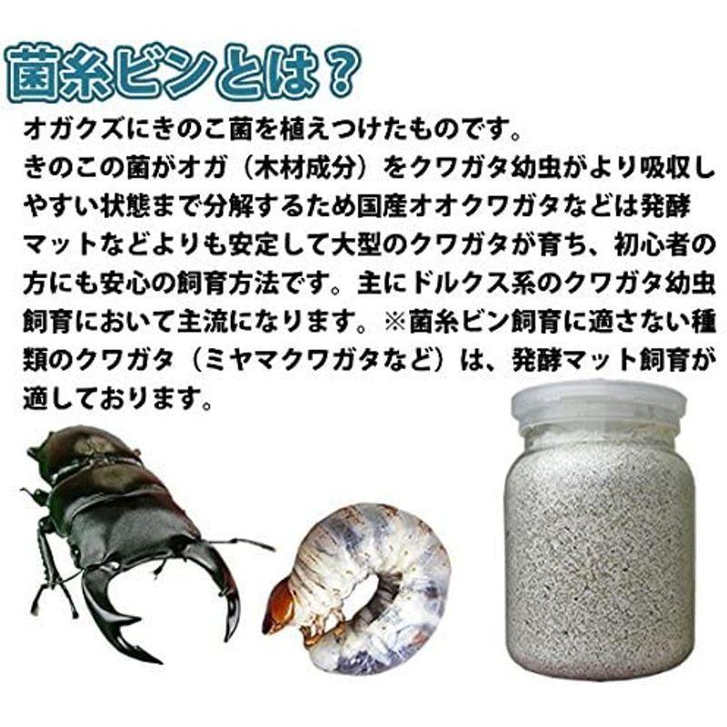 784円 限定特価 菌糸ビン Ep 1400 クワガタ幼虫用透明容器