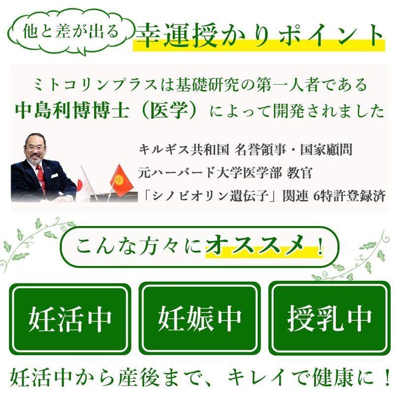 在庫処分大特価 ミトコリンプラス 葉酸500 サプリ 2箱1粒 60日分 葉酸 妊活 ミネラル 妊娠 ミトコンドリア 妊婦 サプリ 酵母 サプリメント Aynaelda Com