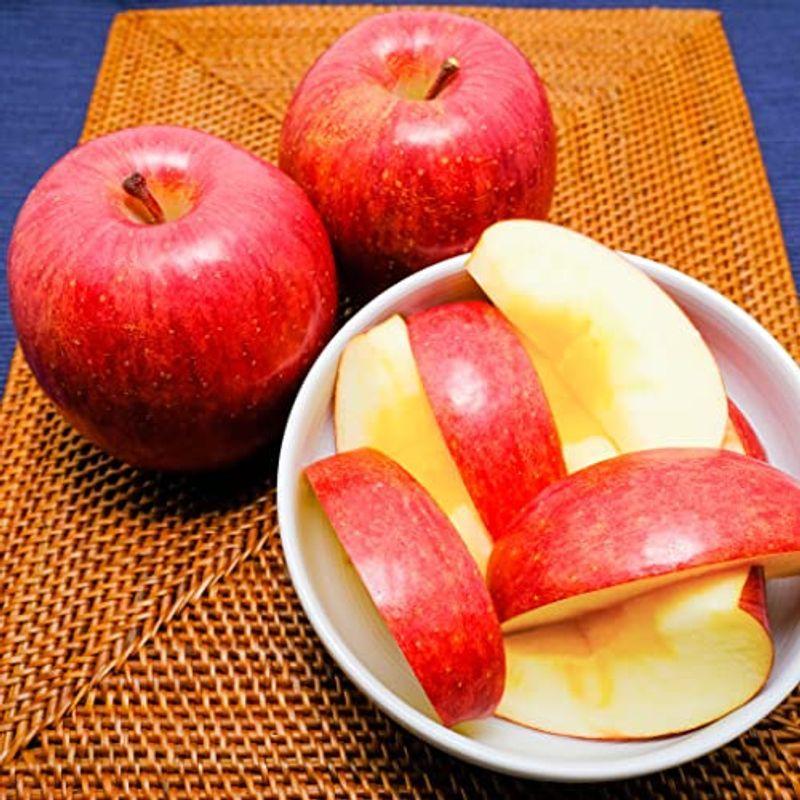 爆売り サンふじ りんご 贈答用 約5kg 12 16玉 長野県産 21春夏 Kitchenlove Com Mx