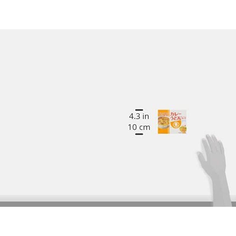 ヒガシマル醤油 カレーうどんスープ 3袋 4lzulknhgg 麺類 パスタ Studiocosmetica Com