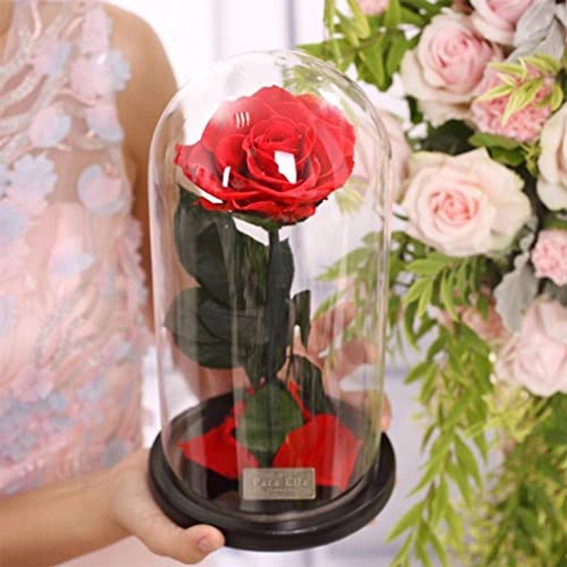 スペシャルブランドグッズ プリザーブドフラワー 母の日 プレゼント 1輪 薔薇 おしゃれ ブリザードフラワー ボックス ドライフラワー お花 枯れない花 永遠の花 ギ アウトレット 新品販売 Skincompanybrasil Com Br