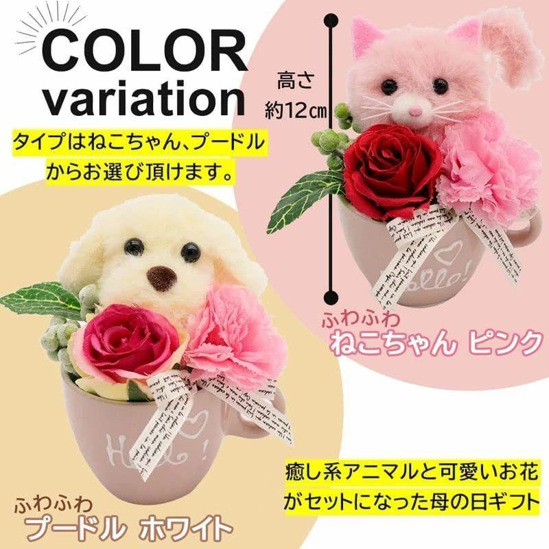 送料無料 即納 生花 母の日のプレゼント人気 高齢者 花 カーネーション 母の日のプレゼント人気 母の日ギフト可愛い 猫グッズ 22 ネコカップ Www Threeriversofs Com