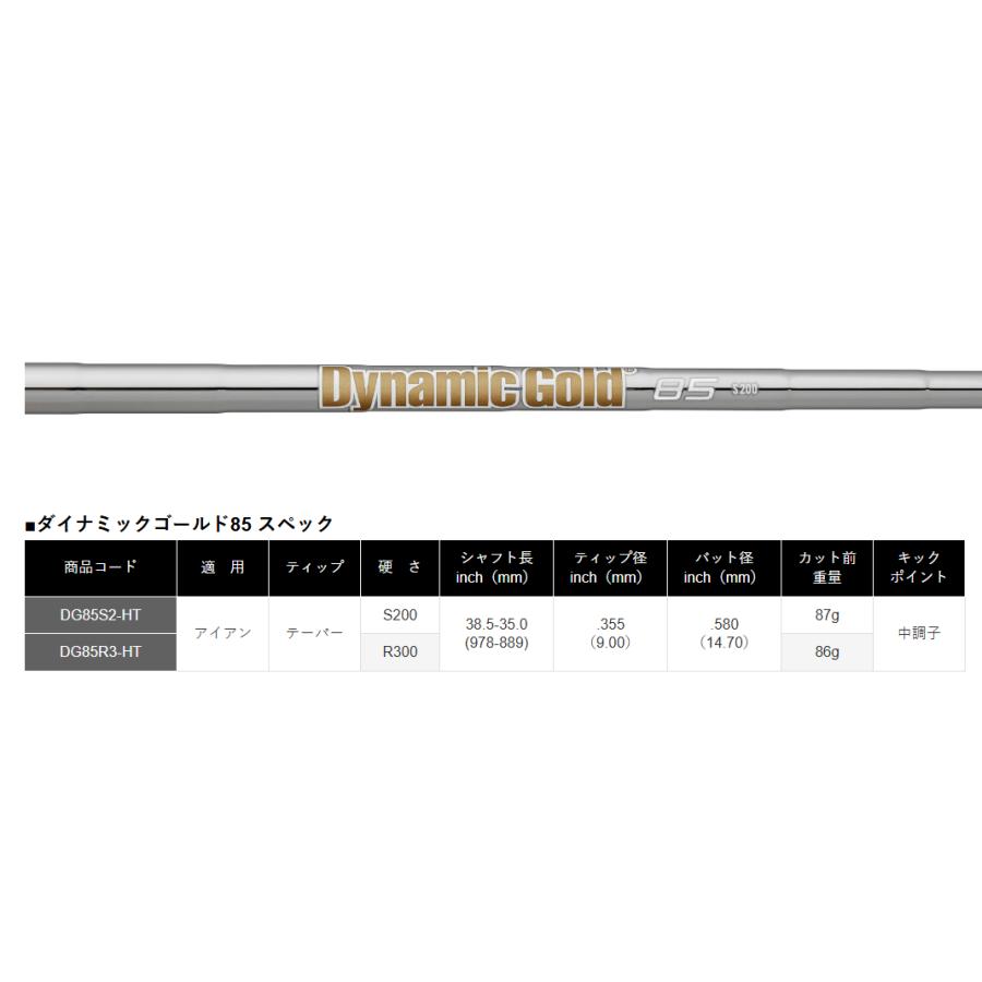 トゥールテンパー Dynamic Gold 85 リシャフト 番手別 1本 : リアル