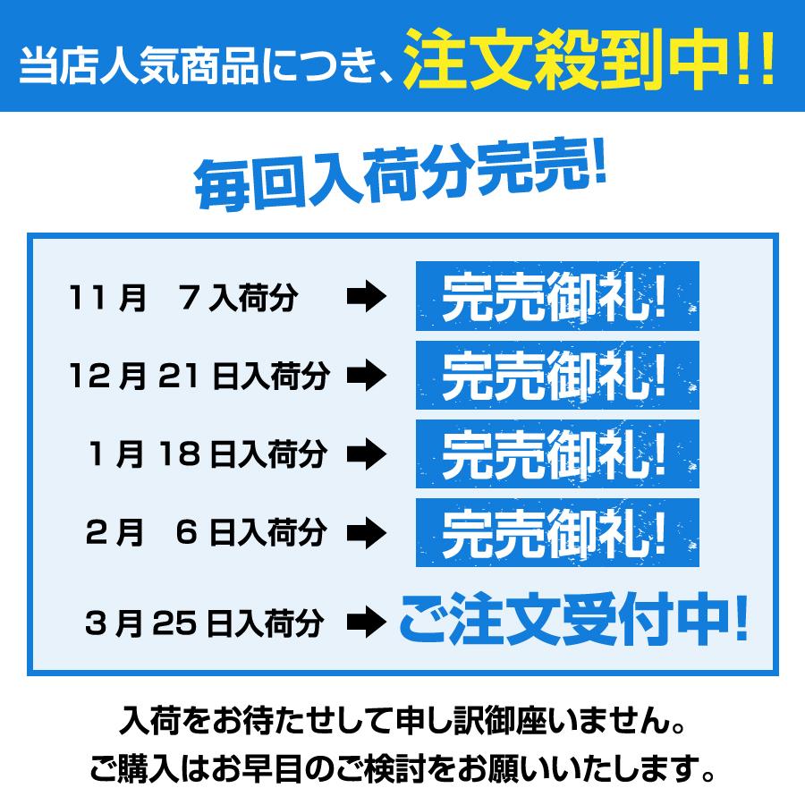 フォームガン 洗車 噴霧器 洗車シャンプー 車 泡スプレー シャワー グッズ 蓄圧式  手洗い 洗車クリーナー | ブランド登録なし | 15