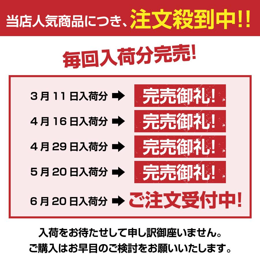 カーゴネット ラゲッジ ネット 車 トランクネット ゴムネット 荷物 荷崩れ防止 110cmx60cm 車中泊 荷物固定 Kago N エヌエスオートショッピング店 通販 Yahoo ショッピング