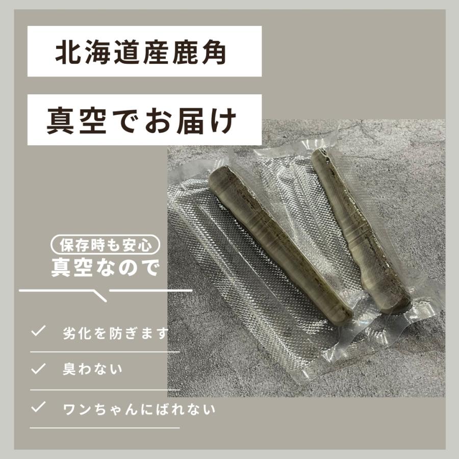 北海道産 鹿角 お試し 1本 犬 おもちゃ 犬用品 犬用 ペットグッズ
